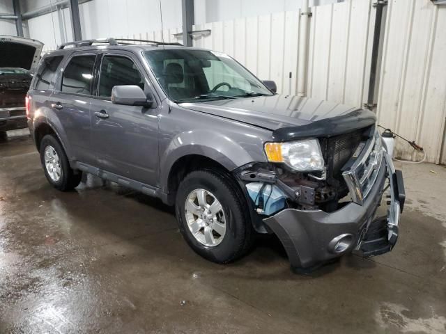 2011 Ford Escape Limited