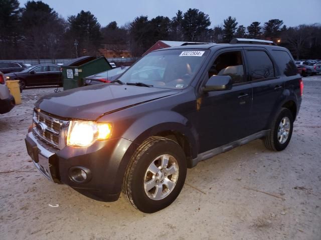 2009 Ford Escape Limited