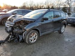 Salvage cars for sale at North Billerica, MA auction: 2018 Ford Escape SE