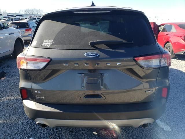 2020 Ford Escape SE Sport