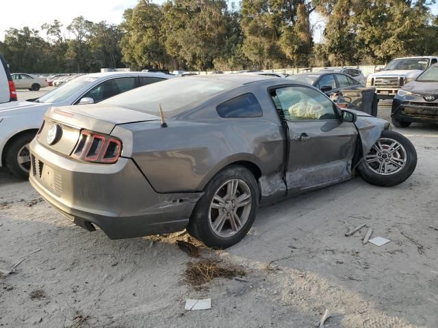 2013 Ford Mustang