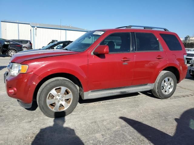 2011 Ford Escape Limited