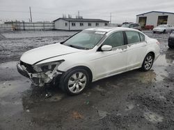 Salvage cars for sale from Copart Airway Heights, WA: 2010 Honda Accord EXL