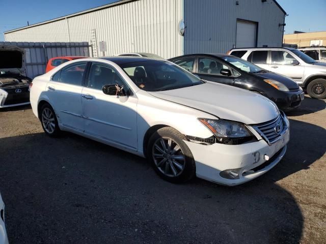 2010 Lexus ES 350