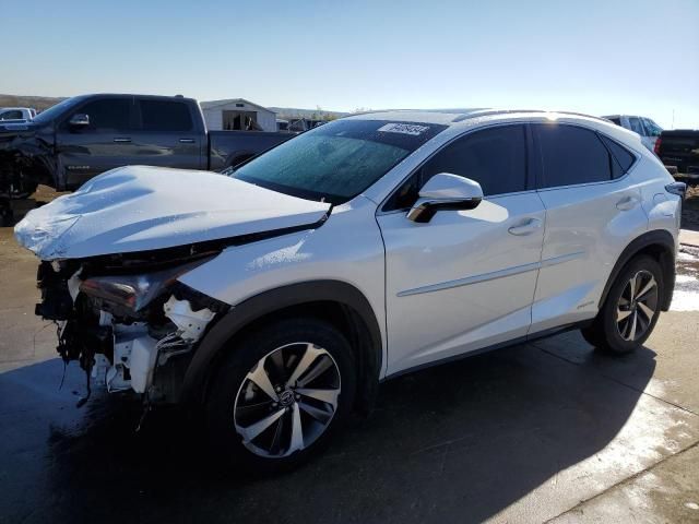 2019 Lexus NX 300H