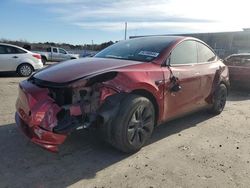 Salvage cars for sale from Copart Fredericksburg, VA: 2024 Tesla Model Y