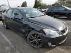 2008 Lexus IS 250