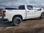 2023 Chevrolet Silverado K1500 Trail Boss Custom