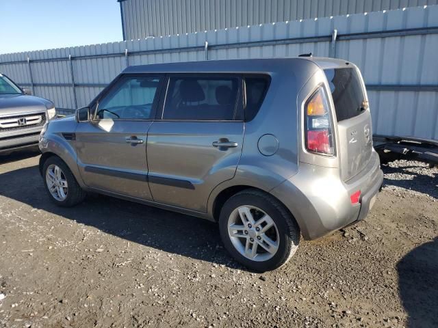 2011 KIA Soul +