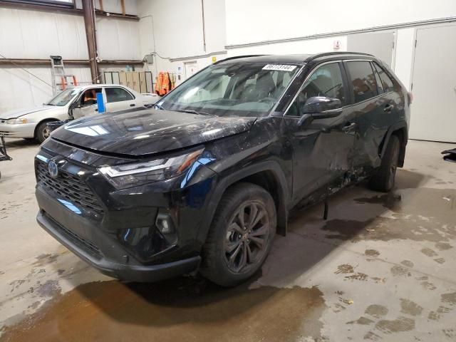 2024 Toyota Rav4 XLE