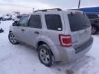 2008 Ford Escape XLT