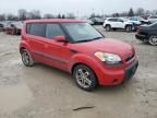 2010 KIA Soul +