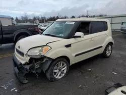 Salvage cars for sale at Pennsburg, PA auction: 2011 KIA Soul +