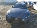 2021 Lexus IS 350 F Sport