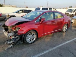 Lexus hs 250h Vehiculos salvage en venta: 2010 Lexus HS 250H