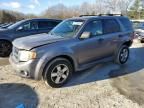 2008 Ford Escape XLT