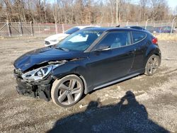 Salvage cars for sale at Baltimore, MD auction: 2013 Hyundai Veloster Turbo