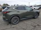 2023 Lexus NX 350