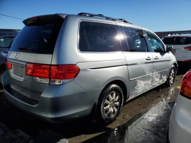 2008 Honda Odyssey EXL