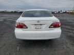 2004 Lexus ES 330