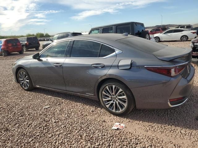 2020 Lexus ES 300H