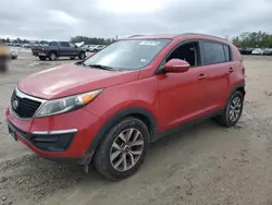 Salvage cars for sale at Houston, TX auction: 2014 KIA Sportage Base