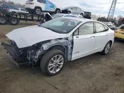 Salvage cars for sale at Windsor, NJ auction: 2019 Ford Fusion SE