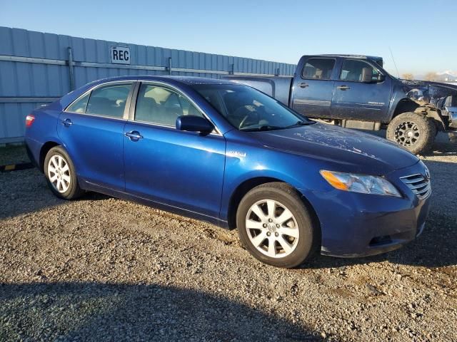 2009 Toyota Camry Hybrid