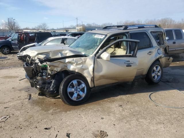 2011 Ford Escape Limited