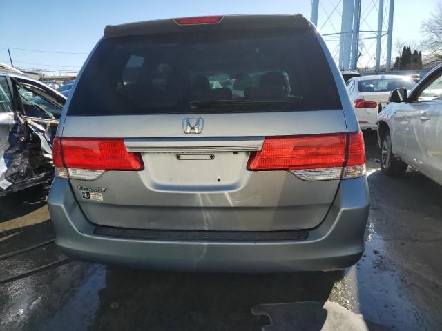 2008 Honda Odyssey EXL