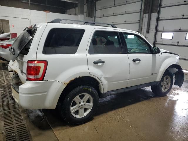 2010 Ford Escape Hybrid