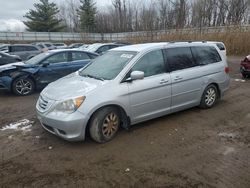 Honda salvage cars for sale: 2010 Honda Odyssey EXL