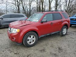 2011 Ford Escape XLT en venta en Cicero, IN