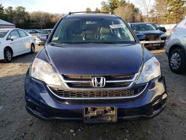 2010 Honda CR-V EXL