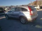 2007 Honda CR-V EXL