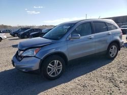 Honda salvage cars for sale: 2011 Honda CR-V EXL