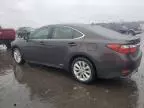 2014 Lexus ES 300H