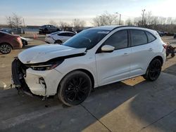 Ford Escape st salvage cars for sale: 2023 Ford Escape ST Line Elite