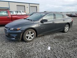 Salvage cars for sale at Earlington, KY auction: 2017 Chevrolet Malibu LS