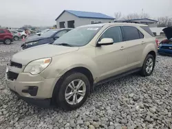 Chevrolet Equinox lt Vehiculos salvage en venta: 2010 Chevrolet Equinox LT