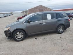 Honda Vehiculos salvage en venta: 2012 Honda Odyssey EXL