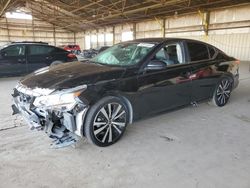 Salvage cars for sale at Phoenix, AZ auction: 2020 Nissan Altima SR