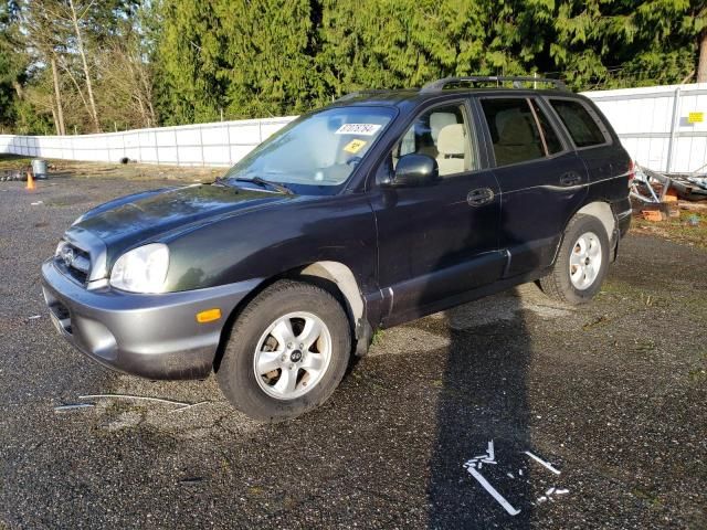 2006 Hyundai Santa FE GLS