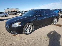 Vehiculos salvage en venta de Copart Amarillo, TX: 2011 Nissan Maxima S