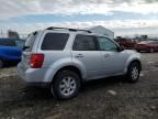 2009 Mazda Tribute I