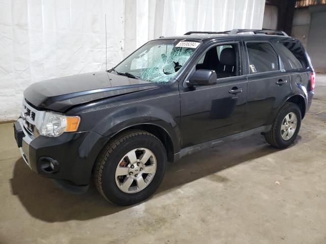 2011 Ford Escape Limited