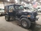 1990 Jeep Wrangler / YJ S