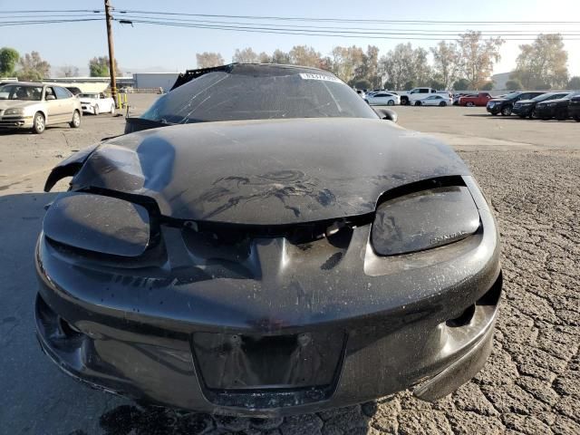 2002 Pontiac Firebird