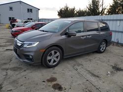 Salvage cars for sale at Windsor, NJ auction: 2019 Honda Odyssey EXL