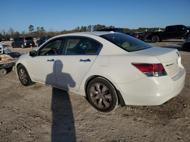 2010 Honda Accord EXL